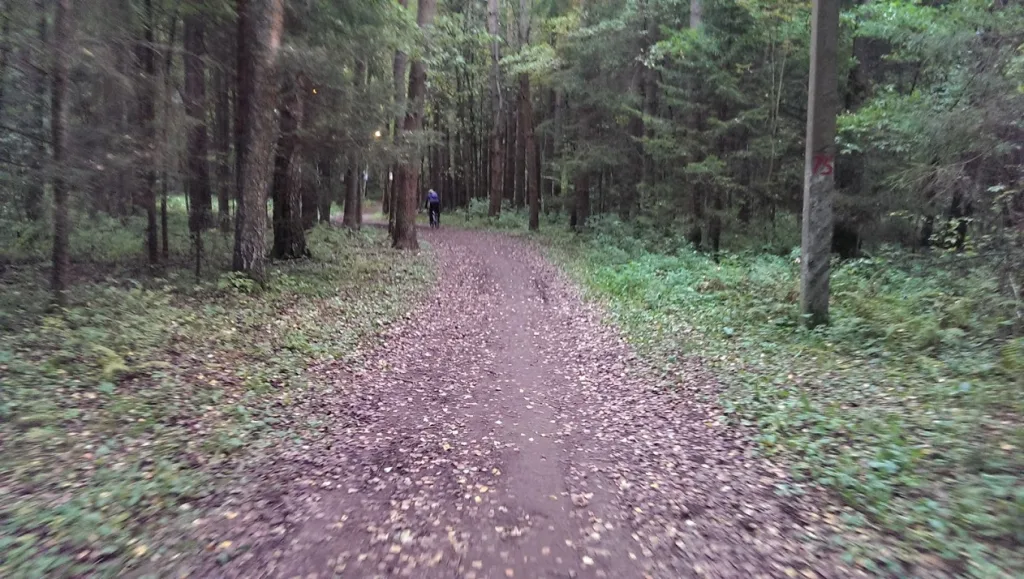 imag5978
