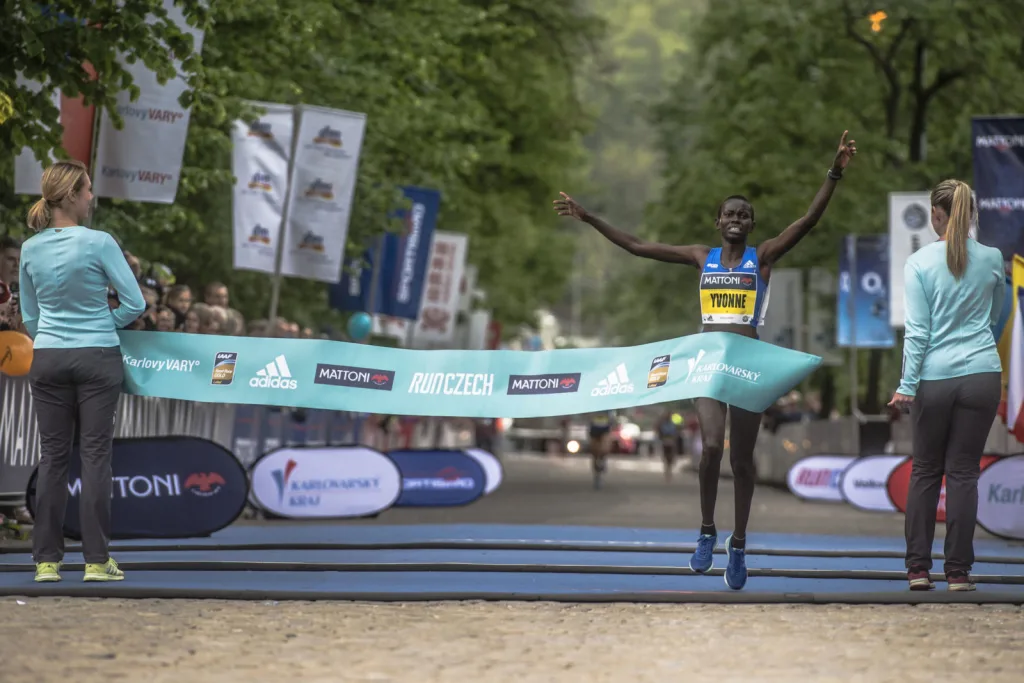 KVHALF2017_3