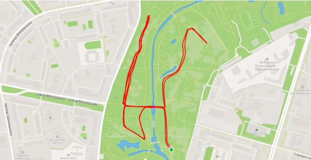 parkrun russia babushkinsky 
