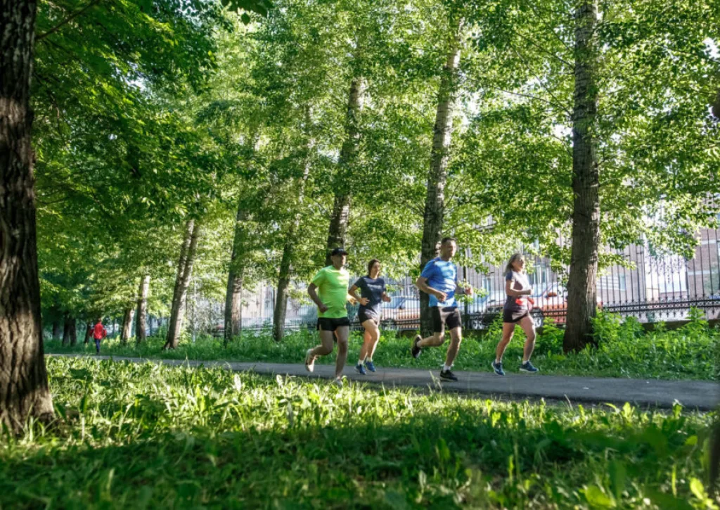 parkrun Russia паркран Кемерово