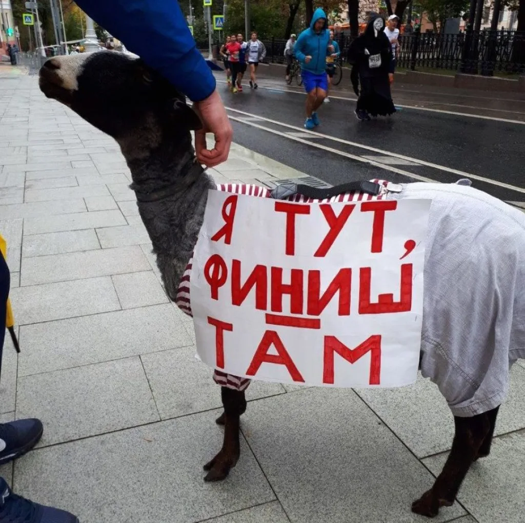 Московский марафон Moscow marathon