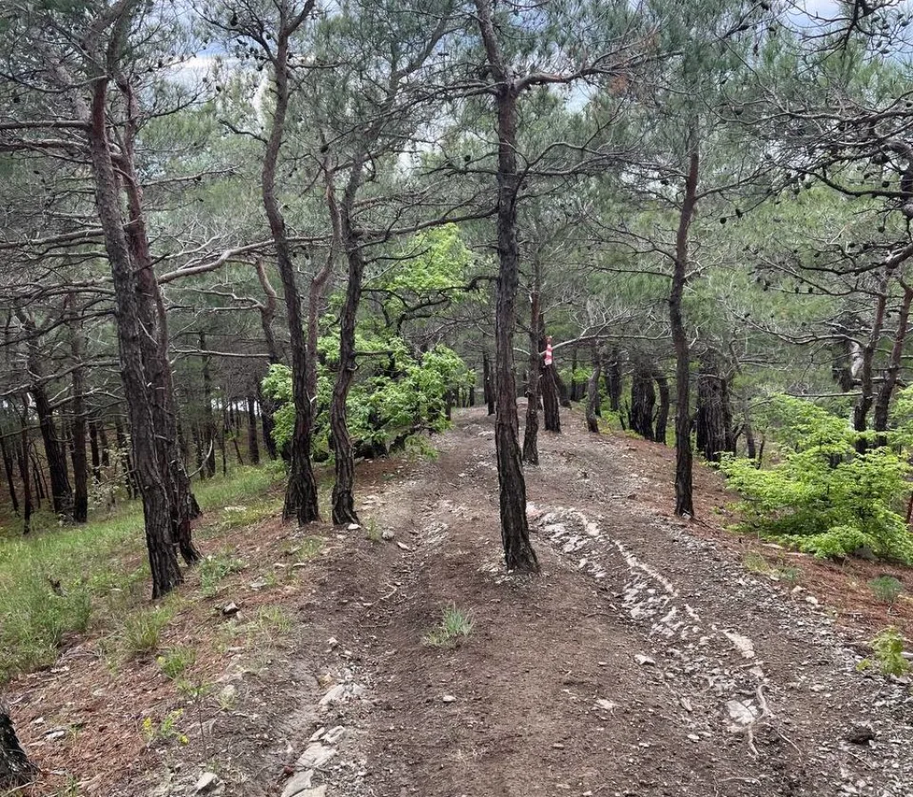 Геленджик Sportmaster PRO Trail 2023. Наталья Кузьмина