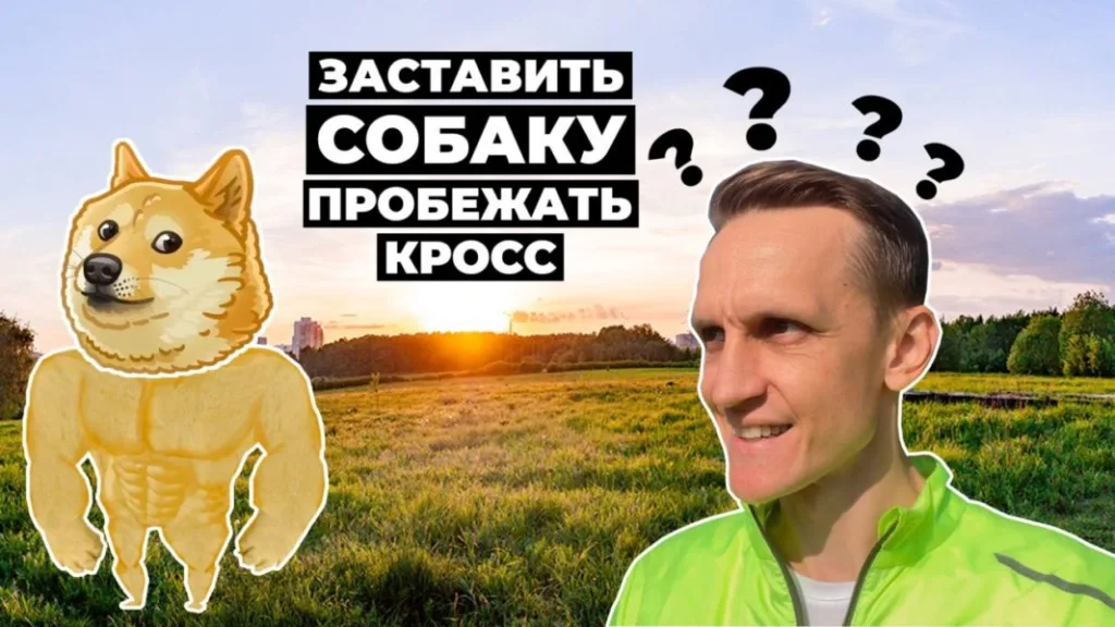 Кросс "Быстрый пёс" от команды организаторов "Беговое сообщество". Видео о забеге