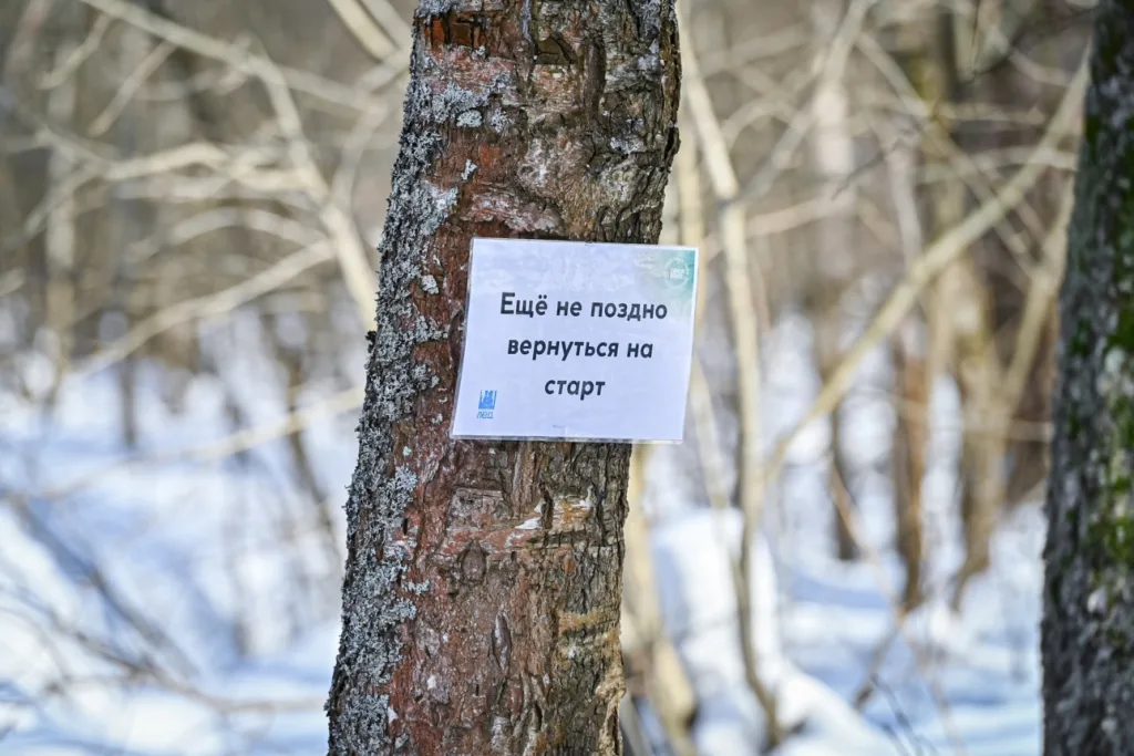 Трейл «Лед» в Пушкино, от команды Open Band Trails 2024.