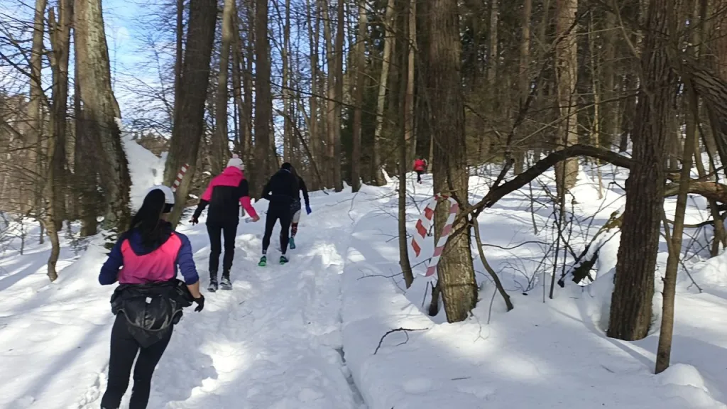 Трейл «Лед» в Пушкино, от команды Open Band Trails 2024.