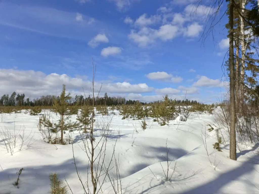 Трейл «Лед» в Пушкино, от команды Open Band Trails 2024.