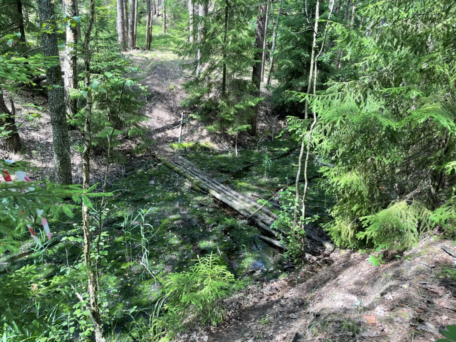 Open Band Trails «Молния» 2023
