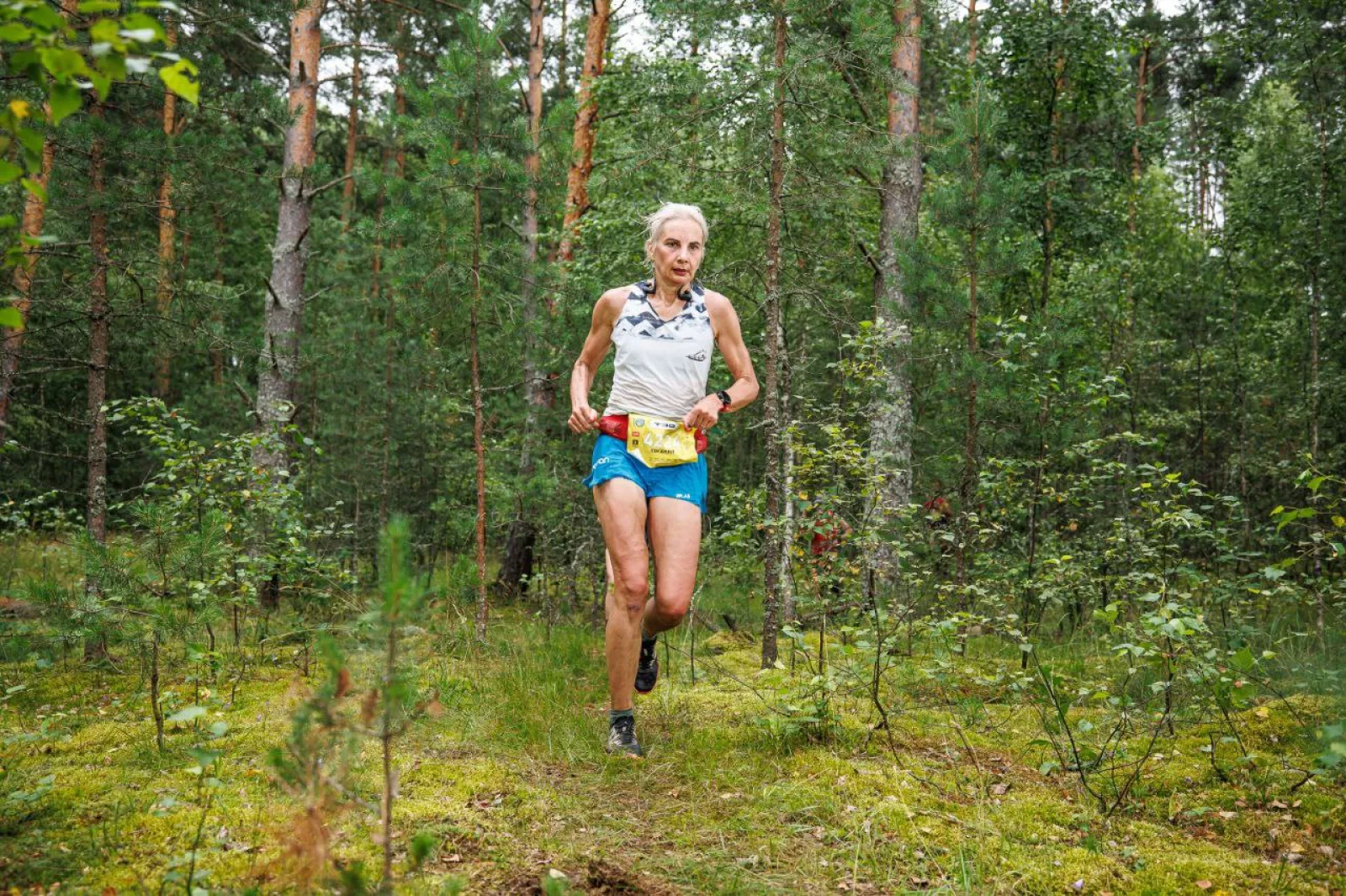 Golden Ring Ultra Trail 2024, GRUT, ГРУТ