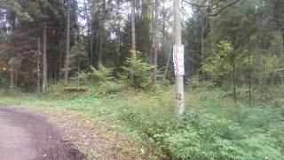 imag5966