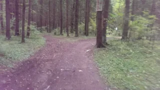 imag5973
