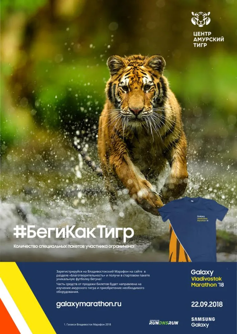 vladivostok galaxy marathon tiger