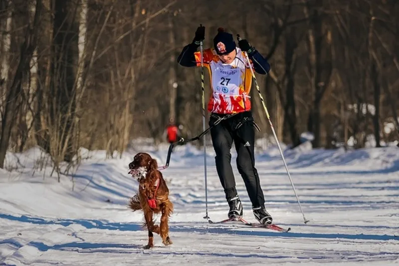yuri tambasov 2