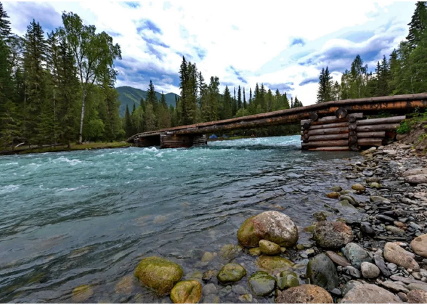 ALTAI ULTRA TRAIL: ДИКИЙ, ДИКИЙ ТРЕЙЛ