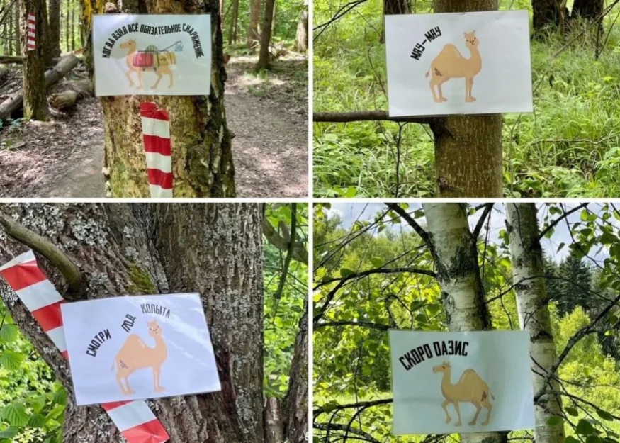 ТРЕЙЛ "ЖАРА" КУБКА ПО ТРЕЙЛРАННИНГУ "НЕОТКРЫТЫЕ КРАЯ"