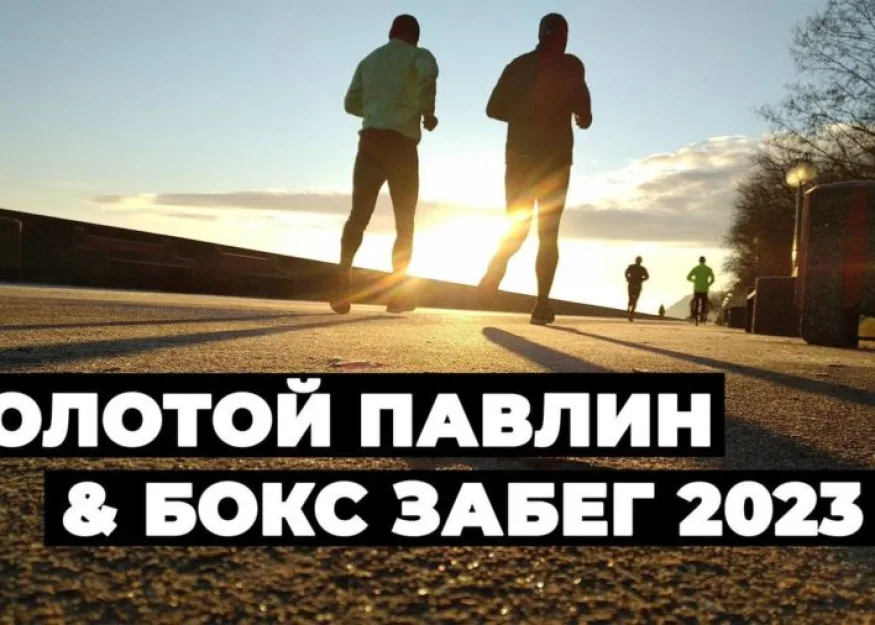 Золотой Павлин и БоксЗабег. Видеоотчет о событиях