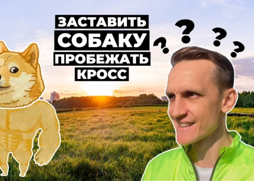 Кросс "Быстрый пёс" от команды организаторов "Беговое сообщество". Видео о забеге